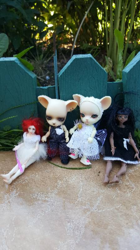 Большая свадьба Панг-Панга и Джулии