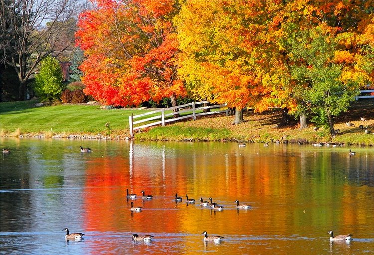 Красотка-осень — Болталка и разговоры обо всем: жизнь