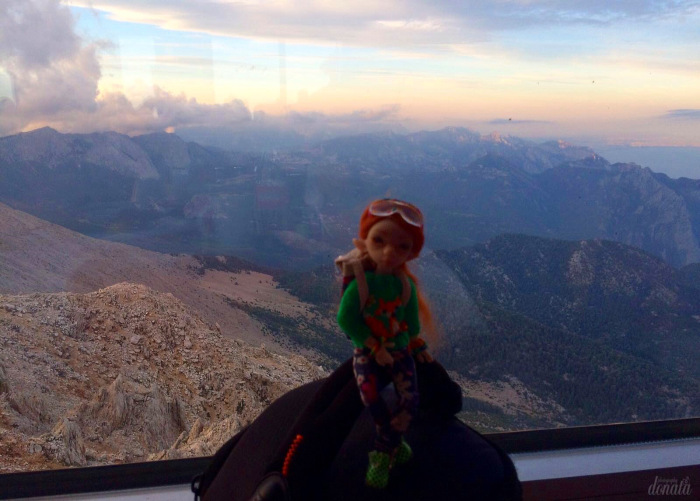 Как Фиби в отпуск съездила. Авторская бжд-мышка Лидии Снуль