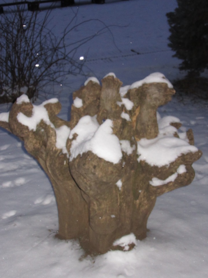 Зимушка моя — Куклы Resinsoul (Резинсоул) и Bobobie: BJD (БЖД) (фото 4)