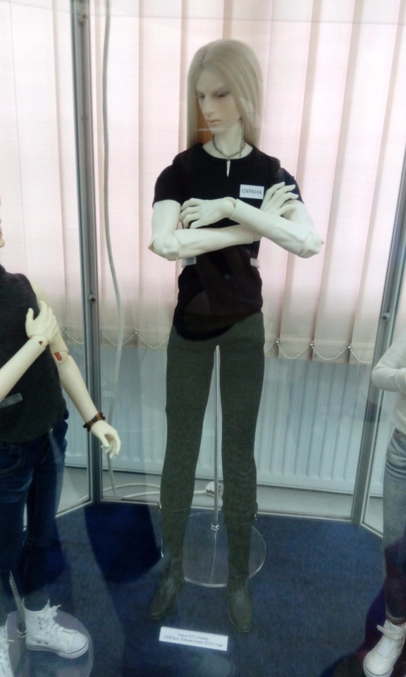 Выставка кукол БЖД в Мурманске