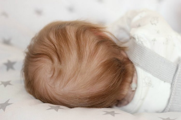 Мальчик-заичик, Левушка, кукла реборн Беспаловои Жанны