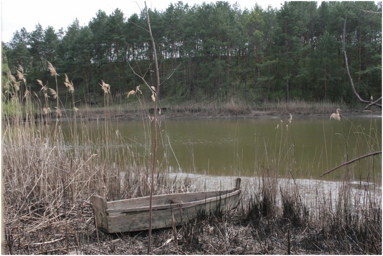 Мои любимые детки от Gabriele Müller