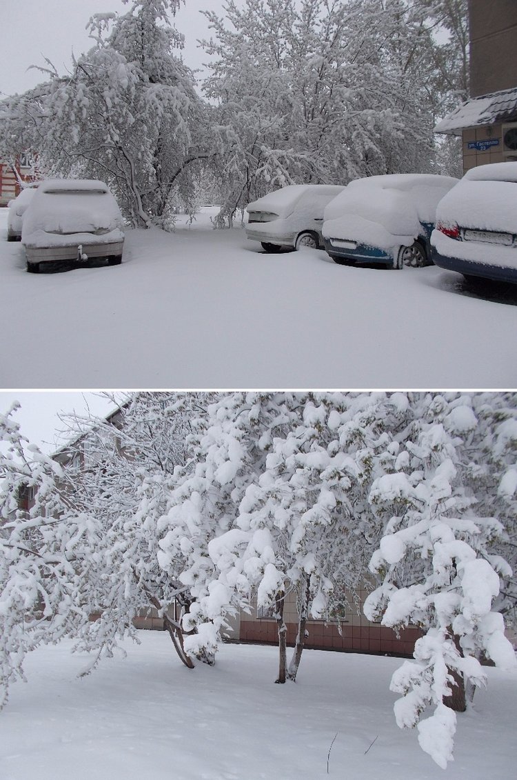 Привет от зимы — Болталка и разговоры обо всем: жизнь (фото 4)