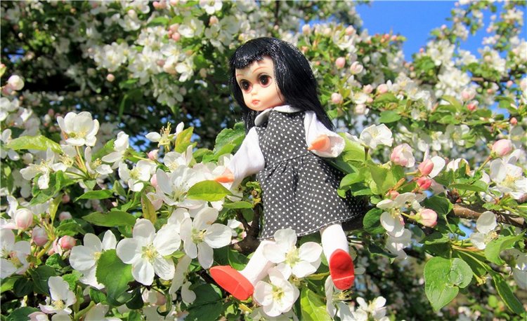Блайзочки на природе — Оригинальные куклы Blythe (Блайз): Takara
