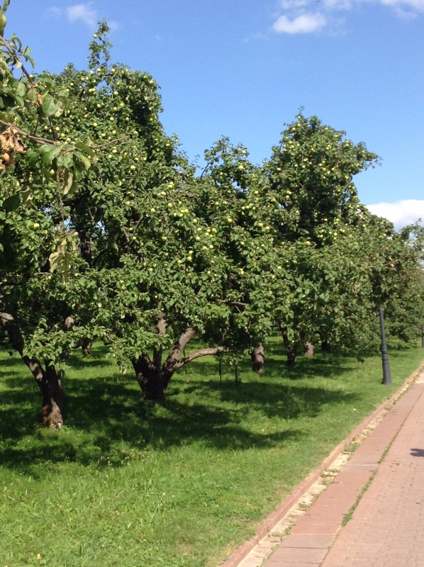 "Есть на Москве места такие..." ч.2. Тайны Коломенского оврага