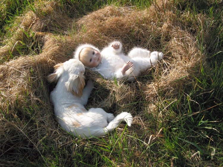 Процесс создания фарфоровых кукол - Джинн Гросс (Jeanne Gross). Часть первая - младенцы