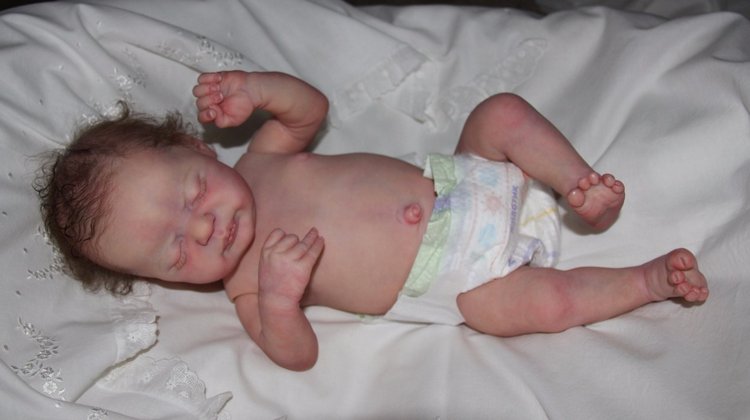 Моя любимая девочка Americus (фото 3)