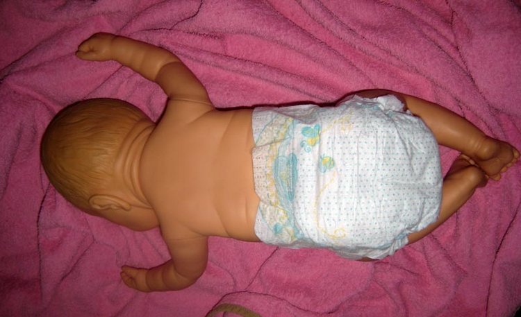 Малышка Berjusa, Berenguer