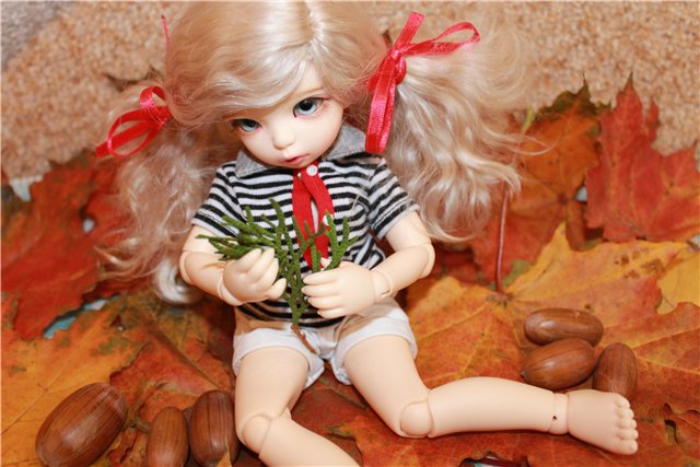 Осень у нас дома | Бэйбики Осень у нас дома — Куклы Fairyland (ФэйриЛэнд): BJD (БЖД) (фото 3)