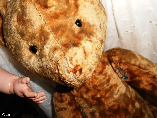 Выполняю обещание. Дарина и Рада. Утренний переполох