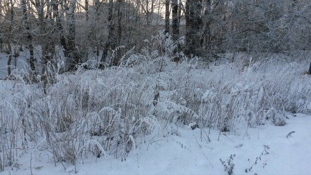 Зимние каникулы.Annecke, Ethan, Trixi от Monika Levenig и Millie от Monika Peter-Leicht