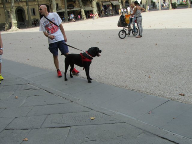 "Моя Италия". Часть 3 - Виареджо, Лукка, Пиза