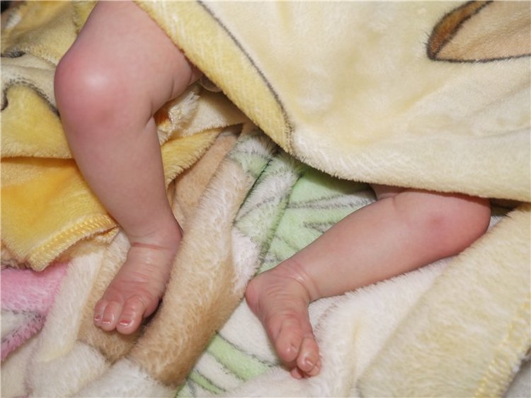 И снова эльфик Лукаша из молдика Офелия, кукла реборн Натальи Фединой, Baby-Zest