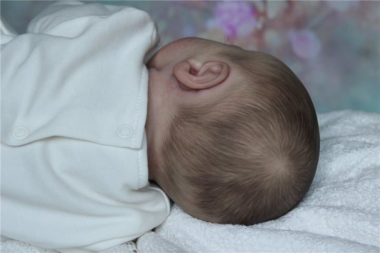 Санечка, Кукла реборн Светланы Преображенской