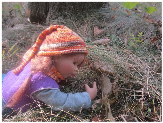 "Неприятный случай" или Ёжик, осень, грибочки. Wichtel, Rosemarie Anna Muller