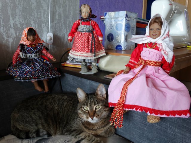 Моего кота не волнуют конкурсы, он просто любит фотографироваться