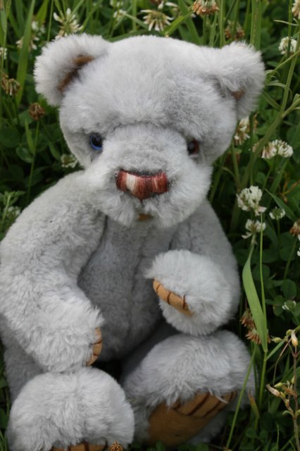 Киана, Шанталь Gotz и их новый друг Мирли