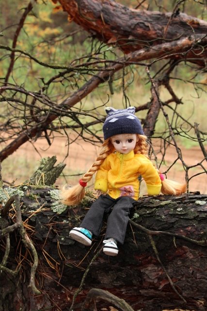 По грибы. Бузулукский бор (фото 9)