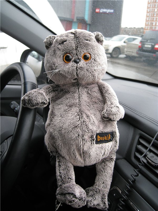 Кошки-мышки! Котик Басик — Кот Басик (фото 5)