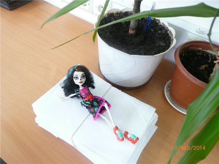 Skelita Calaveras наша новая монстряшка Monster High (фото 3)