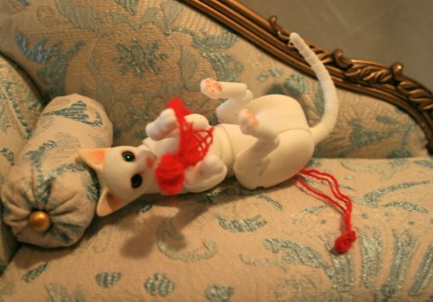 БЖД питомец - кот Као-Мани