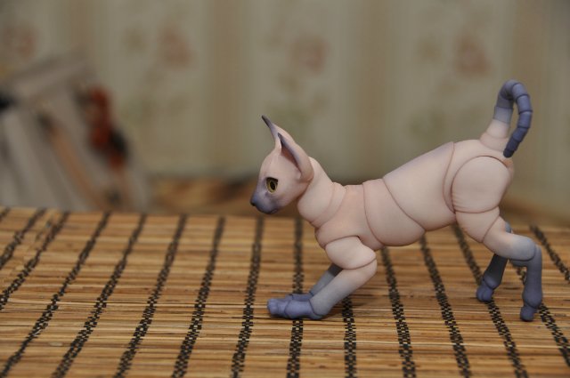 А кто к нам приехал!!! Мей Мей от Кайе Виггз и ее новый друг