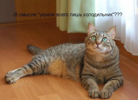 Море позитива) Для поднятия настроения (осторожно! много фото)))) | Бэйбики Море позитива) Для поднятия настроения (осторожно! много фото))))