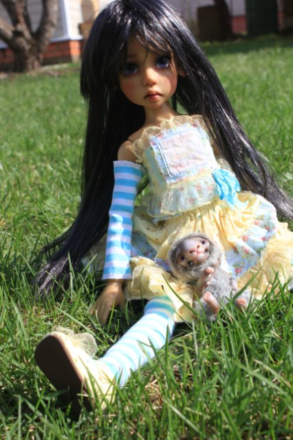 Мечты сбываются. Адель от Kaye Wiggs