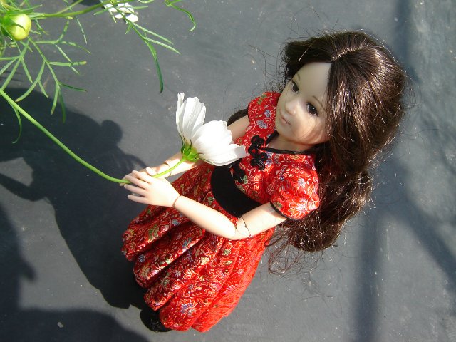 Компромисс: моя первая БЖД: Люси - Senson doll, в гостях на даче