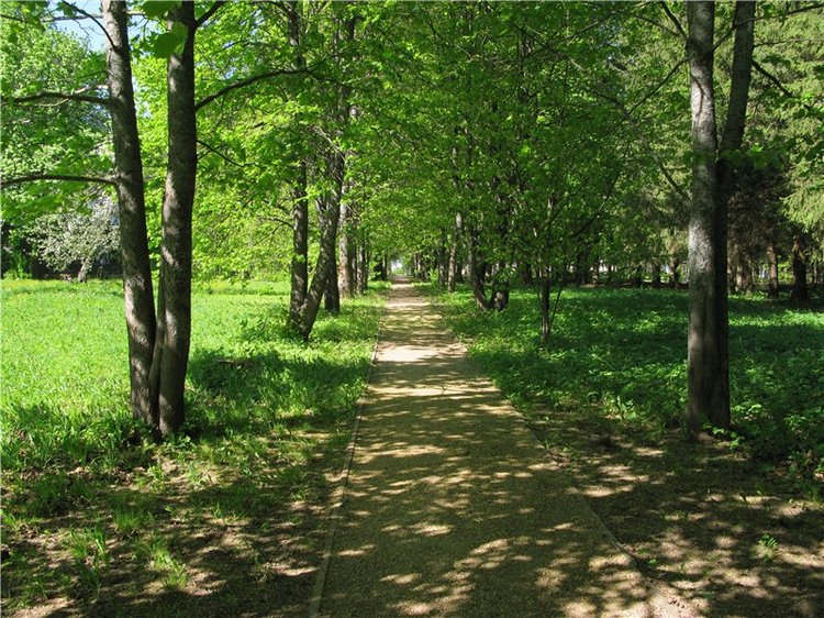 Субботний вояж. Заключительная часть