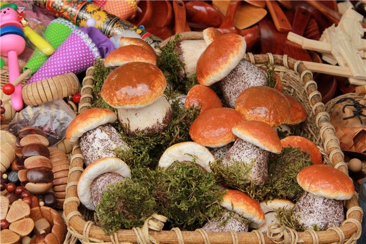 46-ой Пушкинский праздник поэзии в Берново. Часть вторая