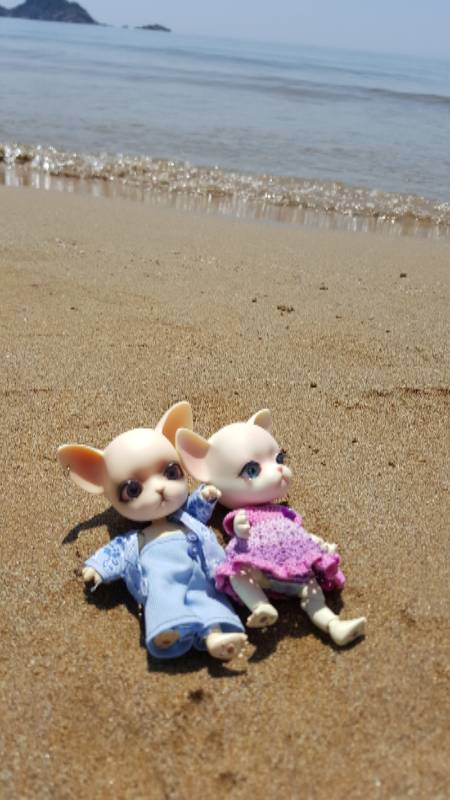 Новое путешествие Панг-Панга