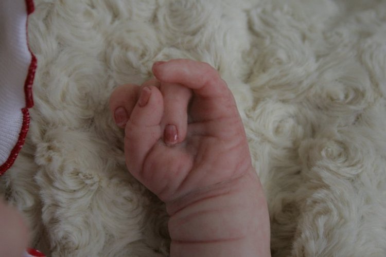 Моя ягодка Джиллиан. Кукла реборн Анастасии Яворской