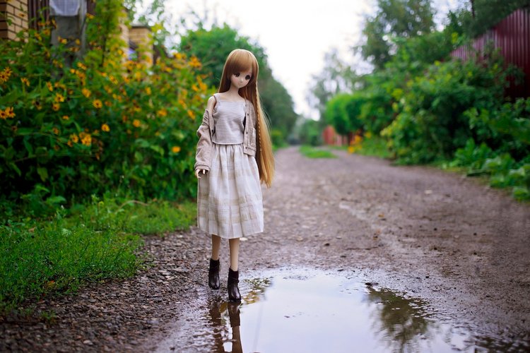 Летняя — Куклы Smart Doll (Смарт Долл) 1/3: фото