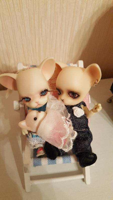 Куда пропали Панги — Куклы Ai Doll и Pangju (Панджу): Tiny BJD (БЖД) (фото 2)