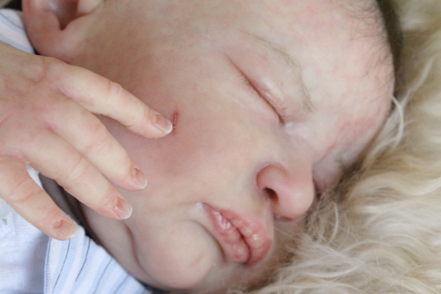 Сиренити от Екатерины Бойковой. Serenity Laura Lee Eagles