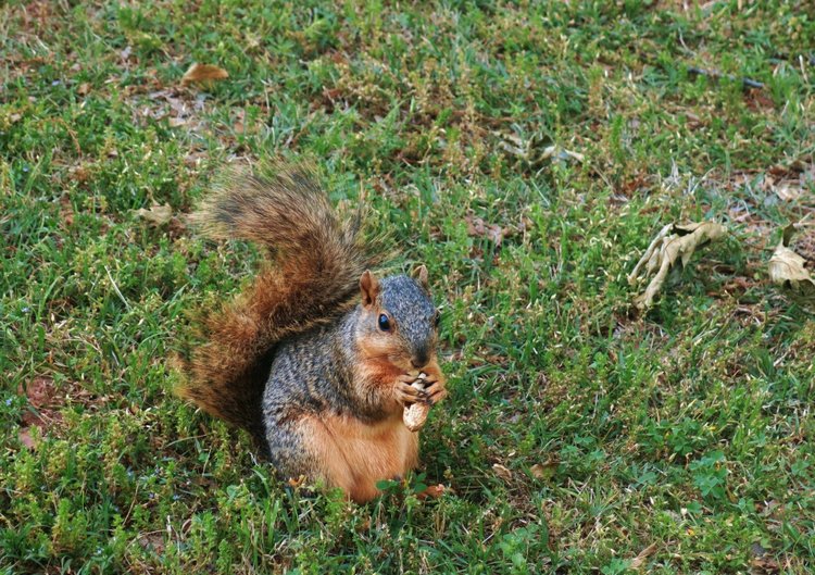 Субботняя прогулка — Болталка и разговоры обо всем: жизнь (фото 2)