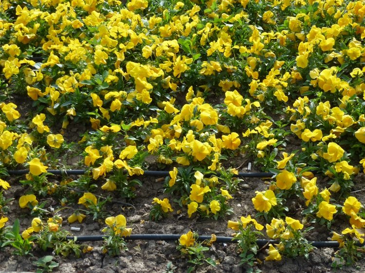 Немного о Белграде, Сербия