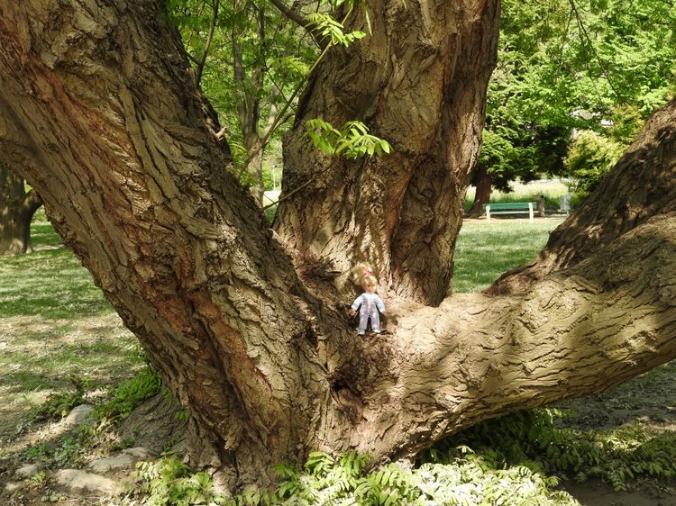 Словения, Светланка и маленький «герой» в одном ботинке