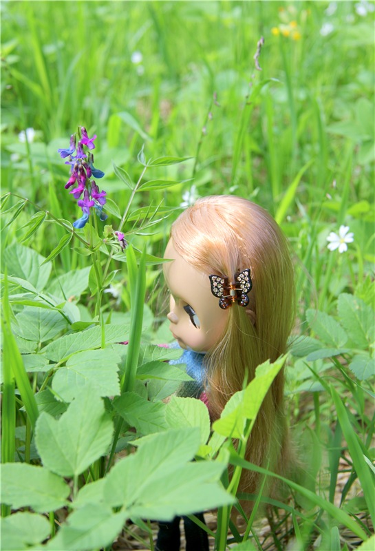 Блайзочки на природе — Оригинальные куклы Blythe (Блайз): Takara