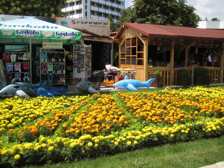 Вот такая вот Болгария — Туризм и путешествия: фотоотчеты из поездок