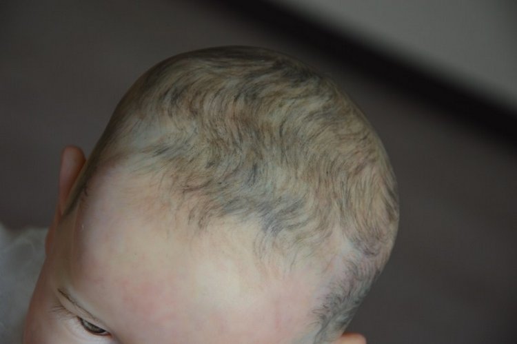 Еще одна вариация на тему Саския