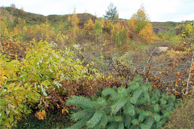 Тверской Водопад — Туризм и путешествия: фотоотчеты из поездок