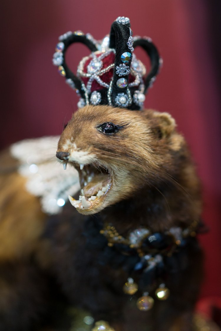 Международный салон кукол. Москва, октябрь 2017. Часть 2