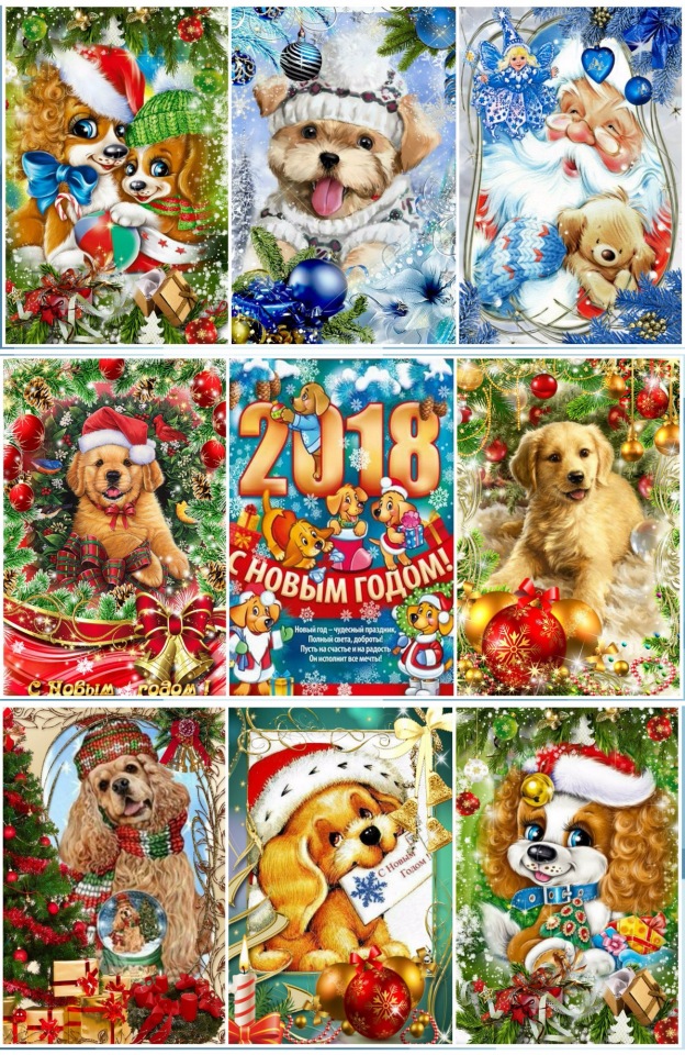 Символ года - собачка. Или тонкий намек на толстые обстоятельства