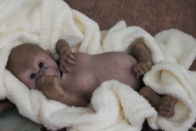 Карамелька кукла-реборн Элины Кудрявцевой (фото 7)