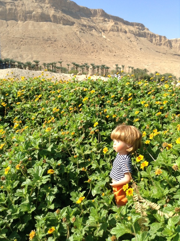Белое солнце пустыни. Ч.2. Восточное, Соленое, Мертвое море- легенда (фото 5)