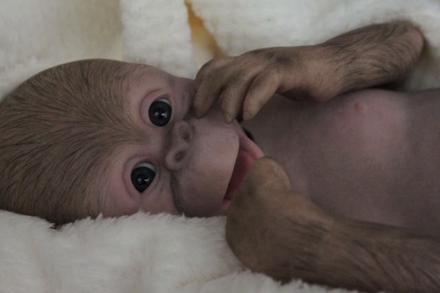 Карамелька кукла-реборн Элины Кудрявцевой