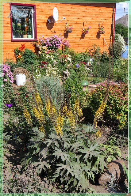 Цветочный рай, или новый наряд Ульяны (Pipa 2003 года, Gotz) | Бэйбики Цветочный рай, или новый наряд Ульяны (Pipa 2003 года, Gotz) (фото 9)